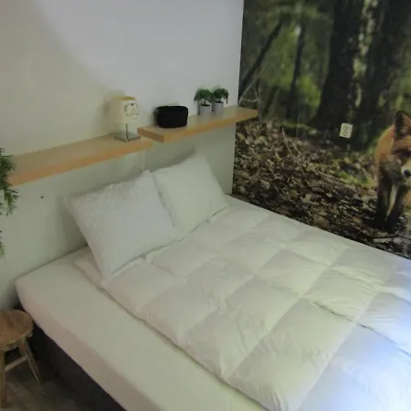 Camping 6 Persoons Vakantiehuis Veluwe Zwembad Spa