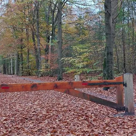 6 Persoons Veluwe Zwembad