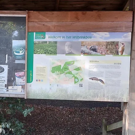 6 Persoons Vakantiehuis Veluwe Zwembad Spa キャンプ場