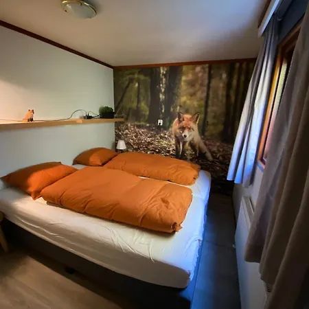 6 Persoons Veluwe Zwembad 营地 福尔特赫伊曾