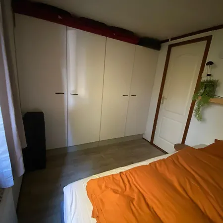 6 Persoons Veluwe Zwembad *