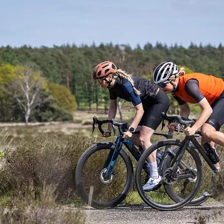 6 Persoons Veluwe Zwembad Voorthuizen