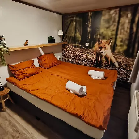 6 Persoons Veluwe Zwembad *