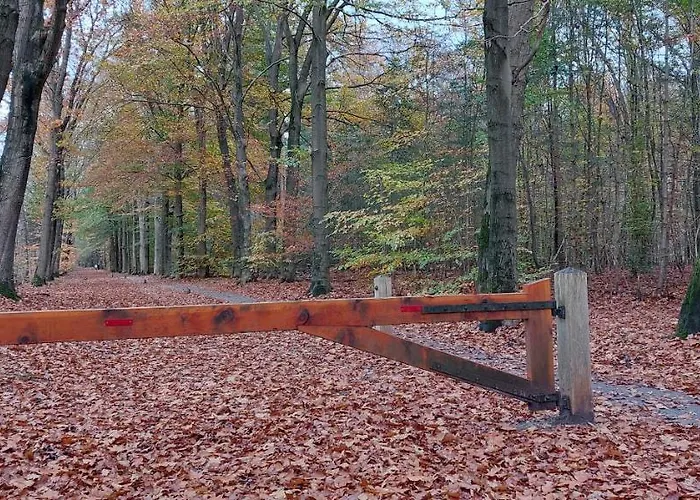 6 Persoons Vakantiehuis Veluwe Zwembad Spa