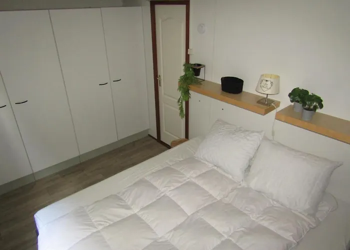 Camping 6 Persoons Vakantiehuis Veluwe Zwembad Spa Voorthuizen