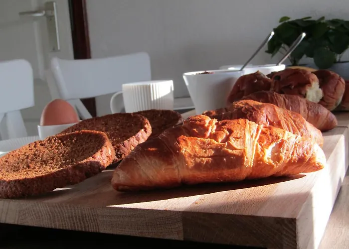 Camping 6 Persoons Vakantiehuis Veluwe Zwembad Spa *