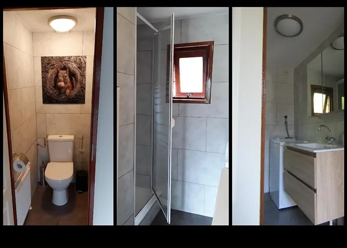 6 Persoons Vakantiehuis Veluwe Zwembad Spa * Voorthuizen