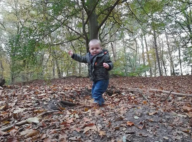 Camping 6 Persoons Vakantiehuis Veluwe Zwembad Spa Voorthuizen