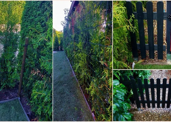 6 Persoons Vakantiehuis Veluwe Zwembad Spa * Voorthuizen