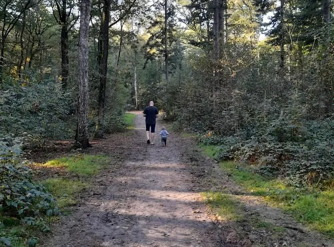 6 Persoons Vakantiehuis Veluwe Zwembad Spa